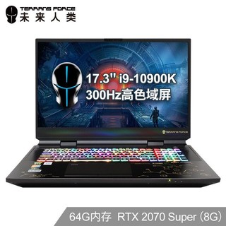 未来人类 Terrans Force X7200 17.3英寸笔记本(i9-10900K 64G 2T PCIe SSD RTX 2070 Super 300Hz)