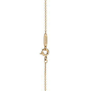 Tiffany&Co. 蒂芙尼 67801024 心形18K黄金珐琅项链