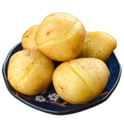 滇派 高山土豆 2500g