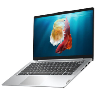 Lenovo 联想 IdeaPad 14s 2021款 酷睿版 14.0英寸 轻薄本 银色 (酷睿i5-1035G1、MX350、12GB、512GB SSD、1080P、IPS、60Hz)