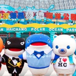 最早可订明日!武汉海昌极地海洋公园大学生双人票