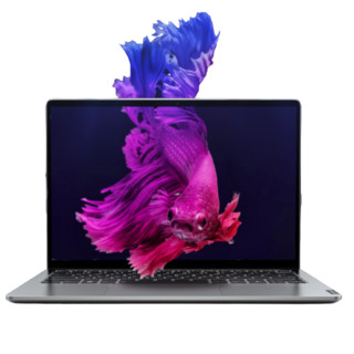 Lenovo 联想 小新Pro16 标压锐龙版 16英寸轻薄笔记本电脑 2.5K高色域大屏设计