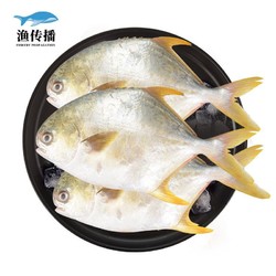 渔传播   国产深海金鲳鱼  1.5kg  