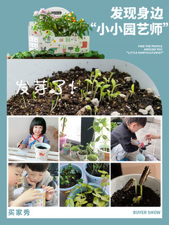 小学生幼儿园种植小盆栽儿童DIY植物生长观察小花农迷你宝宝 体验