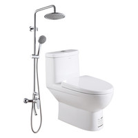  箭牌 ARROW AB1116M/L+AE3310SC 花洒马桶套装