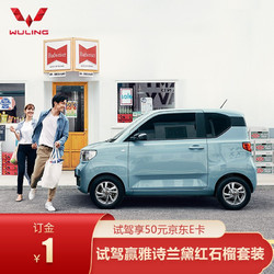 WUlING 五菱 定金  五菱宏光MINIEV 试驾送50元京东卡  星空蓝 宏光MINI EV