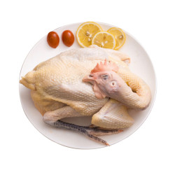 云依禾农庄 三黄走地鸡 700g