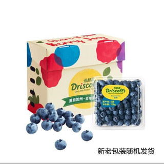 怡颗莓 Driscoll’s  当季云南蓝莓原箱12盒装 约125g/盒 新鲜水果