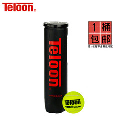 Teloon 天龙 603 耐磨袋装网球