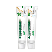 Dentiste Pluswhite 牙卫仕 小苏打薄荷牙膏 100g*2