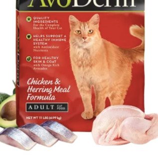 AvoDerm 牛油果 鸡肉鲱鱼成猫猫粮 5kg