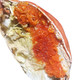 超值商超日：叼果熊 面包蟹 超大螃蟹满黄膏蟹 200g-300g*2只