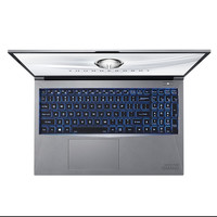 ThundeRobot 雷神 911M 野王 15.6英寸 游戏本 银灰色(酷睿i5-10200H、GTX 1650 4G、8GB、512GB SSD、1080P、IPS、60Hz)