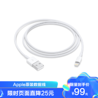 Apple Apple原装数据线 Lightning to USB Cable 1m 连接线/充电线(1 米)