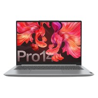 Lenovo 联想 小新 Pro14 锐龙版 14英寸轻薄笔记本电脑（R7-5800H、16GB、512GB）