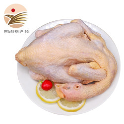 静益乐源 黄河滩散养三黄鸡 700g