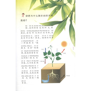 《十万个为什么·植物》（注音版）