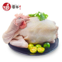 潭牛 140天文昌鸡 供港品质老母鸡散养1kg椰子鸡 生鲜鸡肉 冷冻