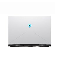 MACHENIKE 机械师 战空F117-X 15.6英寸 游戏本 银色(酷睿i7-10870H、RTX 3060 6G、16GB、512GB SSD、1080P、IPS、240Hz)