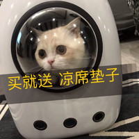 DAODANGUI 捣蛋鬼 猫包太空宠物舱包外出便携狗狗装猫笼子双肩猫袋用品书包猫咪背包