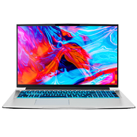 MACHENIKE 机械师 F117-FP 17.3英寸 游戏本 银色 (酷睿i7-10870H、RTX 3060 6G、16GB、1TB SSD、1080P、IPS、144Hz)