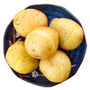云南高山土豆 1500g马铃薯 洋芋 中果 新鲜蔬菜 产地直发包邮