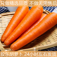 佑嘉木 山东水果胡萝卜新鲜生吃红心红萝卜蔬菜特产10斤应季