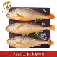 浓鲜时光  新鲜活冻国产大黄花鱼 烧烤食材400-500g*3条装约1200-1500g