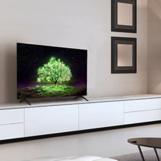 LG 乐金 OLED55A1PCA OLED电视 55英寸 4K