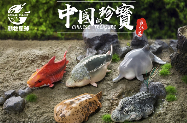 玩模总动员、新品预定：动物星球 《中国的珍宝》系列 长江篇 潮玩摆件 多款可选