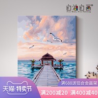 自油自画  数字油画diy 手绘填充简单油彩画手工填色涂色减压画画