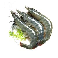 移动端、京东百亿补贴：XYXT 虾有虾途 新鲜青岛大虾 单只14-16厘米 2kg