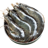 XYXT 虾有虾途 新鲜青岛大虾 单只14-16厘米 2kg