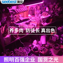 seebest 视贝 视贝多肉补光灯LED生长灯植物仿太阳上色全光谱家用防徒花卉室内