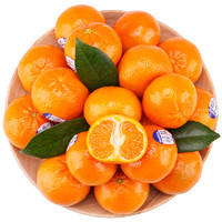 sunkist 新奇士 进口小柑橘 500g 12个