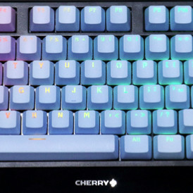 CHERRY 樱桃 MX 1.0 TKL 87键 有线机械键盘 蓝妖 Cherry红轴 RGB