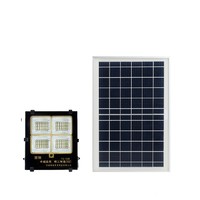 YOUCHI 悠驰 太阳能家用户外庭院 60W