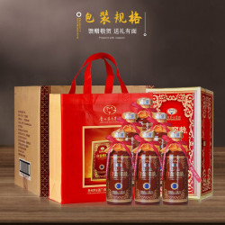 MOUTAI 茅台 贵州茅台集团52度浓香型白酒 礼盒2瓶装 500ml*2瓶