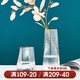 时光巴士 北欧创意轻奢花瓶现代简约玻璃透明客厅餐桌水养插花器装饰品摆件