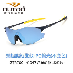 OUTDO 高特 跑步眼镜马拉松装备日夜两用夜视眼睛墨镜 蜻蜓腿款GT67004-C047