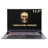 TERRANS FORCE 未来人类 T7 17.3英寸 游戏本 黑色（酷睿i7-10870H、RTX 3080 Max-Q 16G、32GB、1TB SSD、1080P、LCD、300Hz）