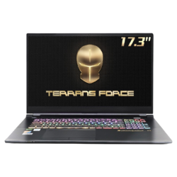 TERRANS FORCE 未来人类 T7 17.3英寸游戏笔记本电脑（i7-11800H、32GB、1TB SSD、RTX3080、300Hz、100%sRGB）