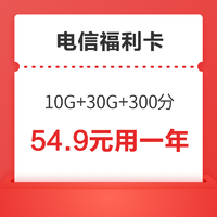 CHINA TELECOM 中国电信 福利卡（10G通用+30G定向+300分钟，视频VIP会员12个月4选1）