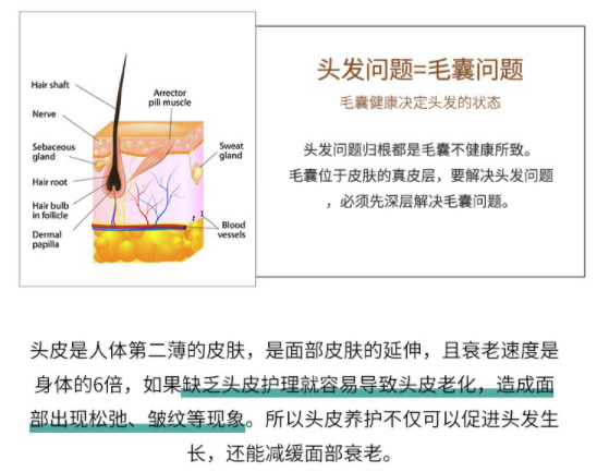 奢己 头皮 深层清洁SPA