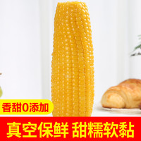 穗康 玉米 糯玉米 粘玉米 玉米棒 非转基因零添加真空包装6支 黄糯250g*6（1分甜）