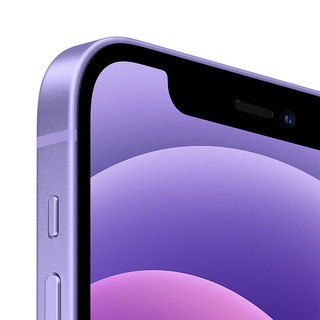 Apple 苹果 iPhone 12系列 A2404 5G手机 256GB 紫色