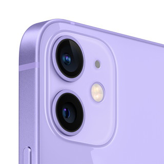 Apple 苹果 iPhone 12 mini系列 A2400国行版 5G手机 256GB 紫色