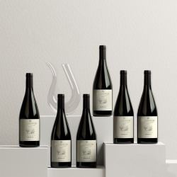 露颂 南澳源派设拉子葡萄酒 750ml*6瓶