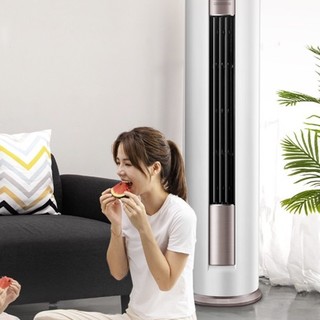 Midea 美的 智行系列 KFR-51LW/BP3DN8Y-YH200(B1) 新一级能效 立柜式空调 2匹