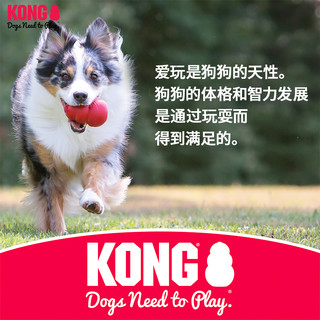 KONG美国进口天然橡胶拔河互动宠物玩具 游戏互动拔河狗玩具